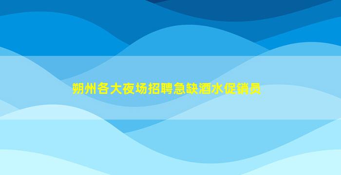 朔州各大夜场招聘急缺酒水促销员